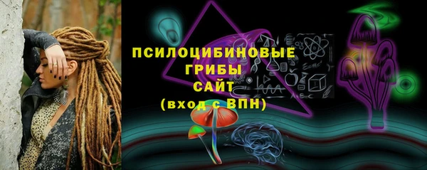 метадон Лагань