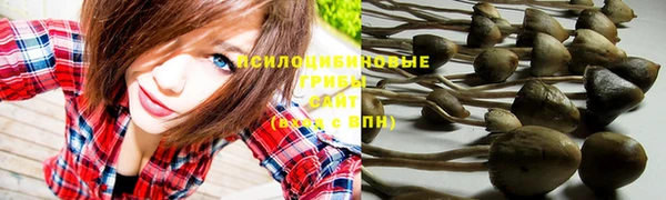 стафф Лабытнанги