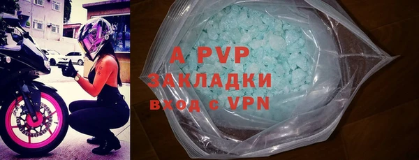 стафф Лабытнанги