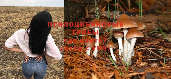 mdma Ладушкин